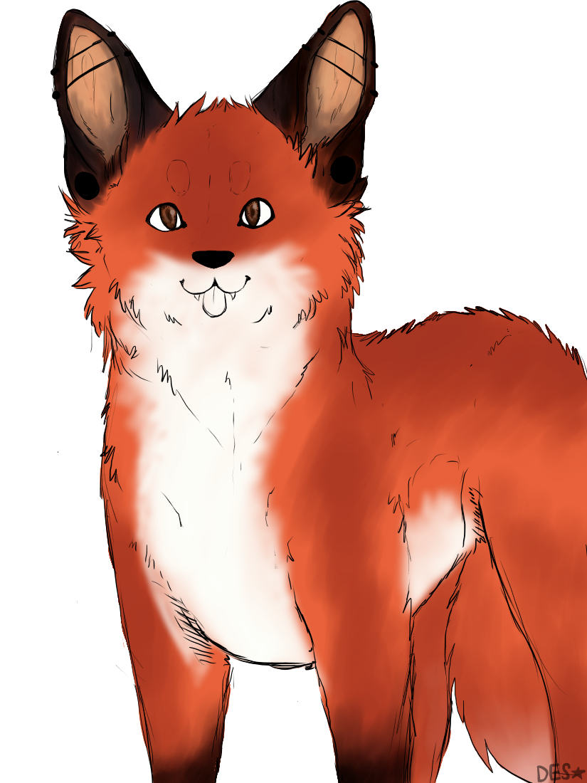 Its A Fox