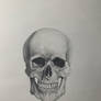 Skull Pencil Sketch