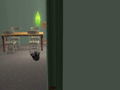 Francis in The Sims 2