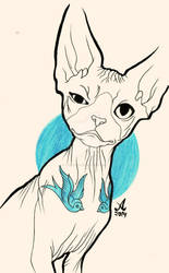 Sphynx