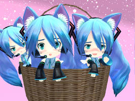 MMD - Neko Miku Triplets in a Basket *Request*