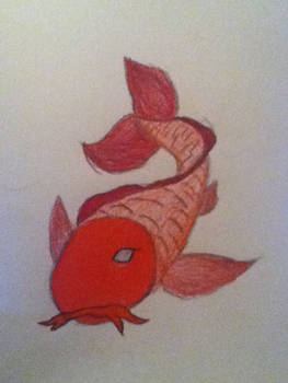 Red Koi