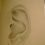 Ear