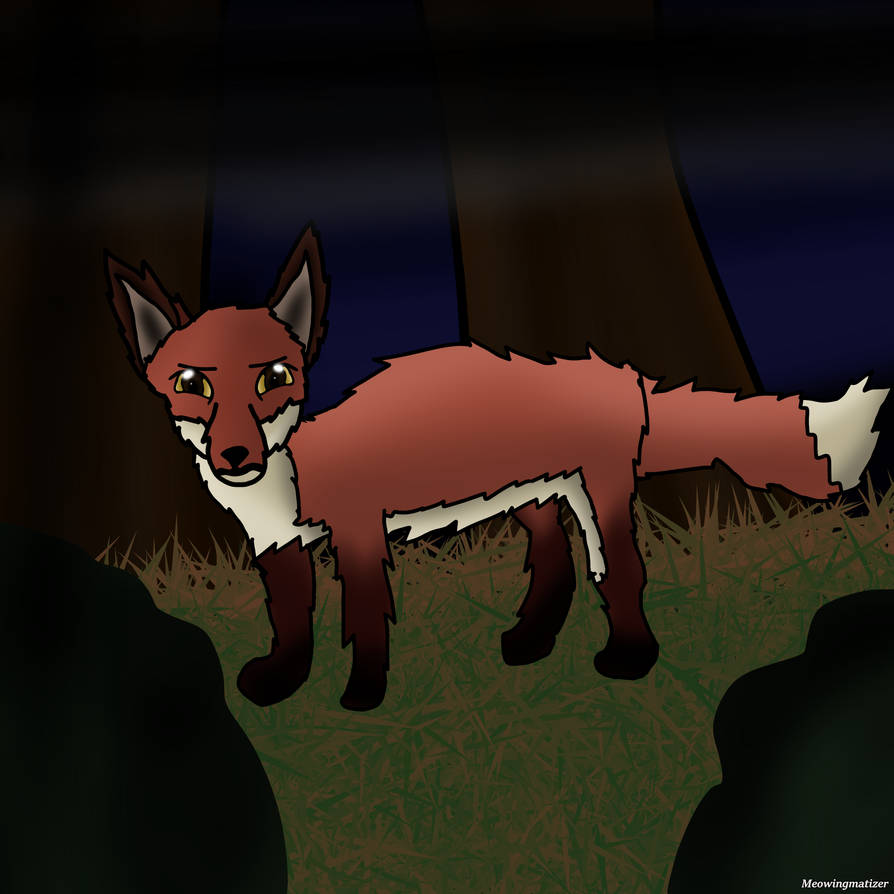 A Red Fox? by Midnightbatizer on DeviantArt
