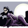 Catwoman 1960s