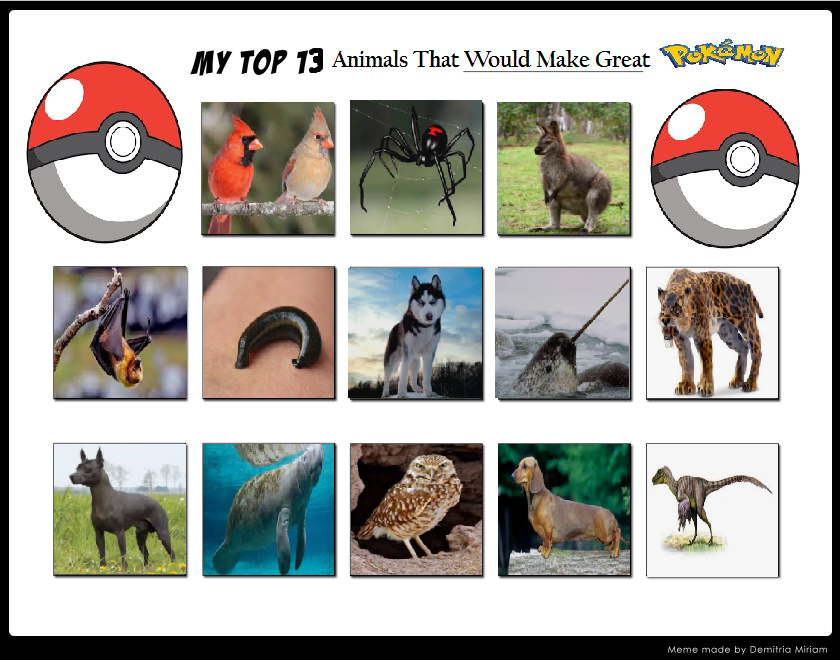 Top 13 Animals I Think Would Make Great Pokemon by BlackWolfStar15 on DeviantArt Top 13 Animals I Think Would Make Great Pokemon by BlackWolfStar15 on DeviantArt