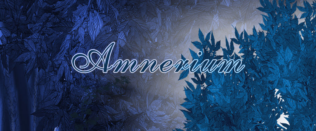 Amnerium banner