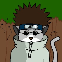 Shino cat