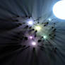 2d Whitted Style Ray Tracing
