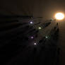 Desert Stars