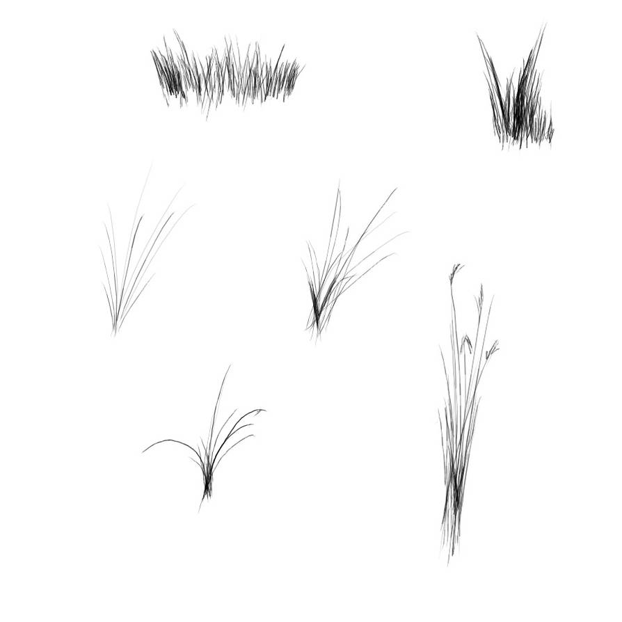 Grass Brushes Image Pack By Calthyechild On DeviantArt grass-brushes-image-pack-by-calthyechild-on-deviantart