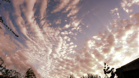 Winged Altocumulus