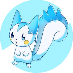 Pachirisu