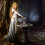 The Mirror of Galadriel