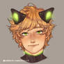 Adrien mech neko