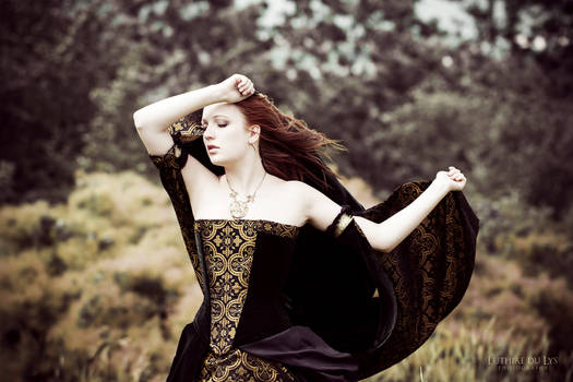 Velvet and brocade corset dress - 2012 collection