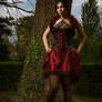 Taffeta underbust corset dress 2011 collection