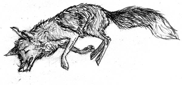 A Slow Death by ariastrife