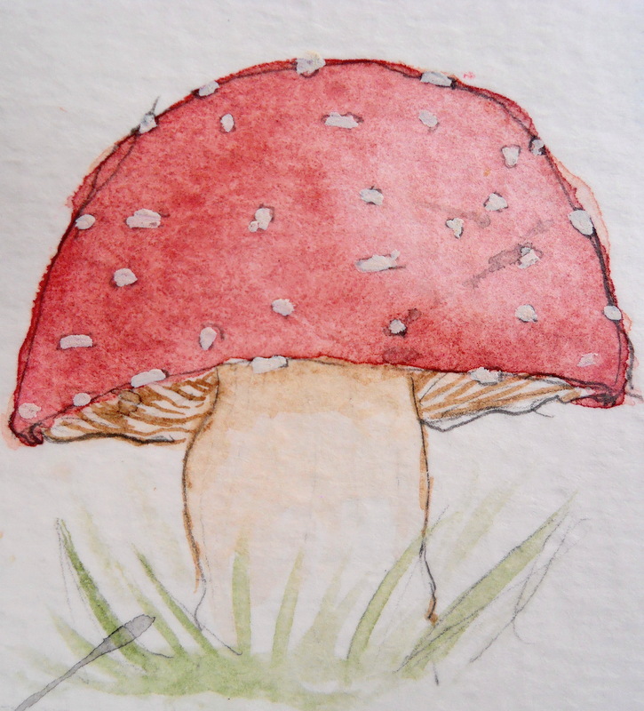 Mushroom Doodle