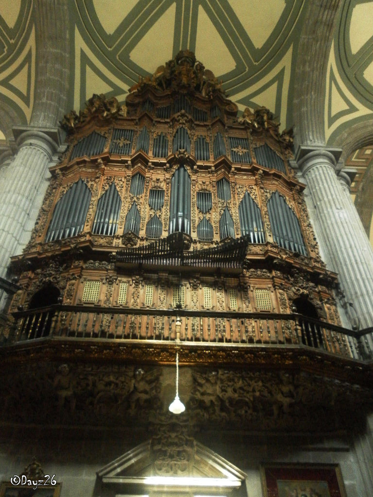 Catedral metropolitana 6