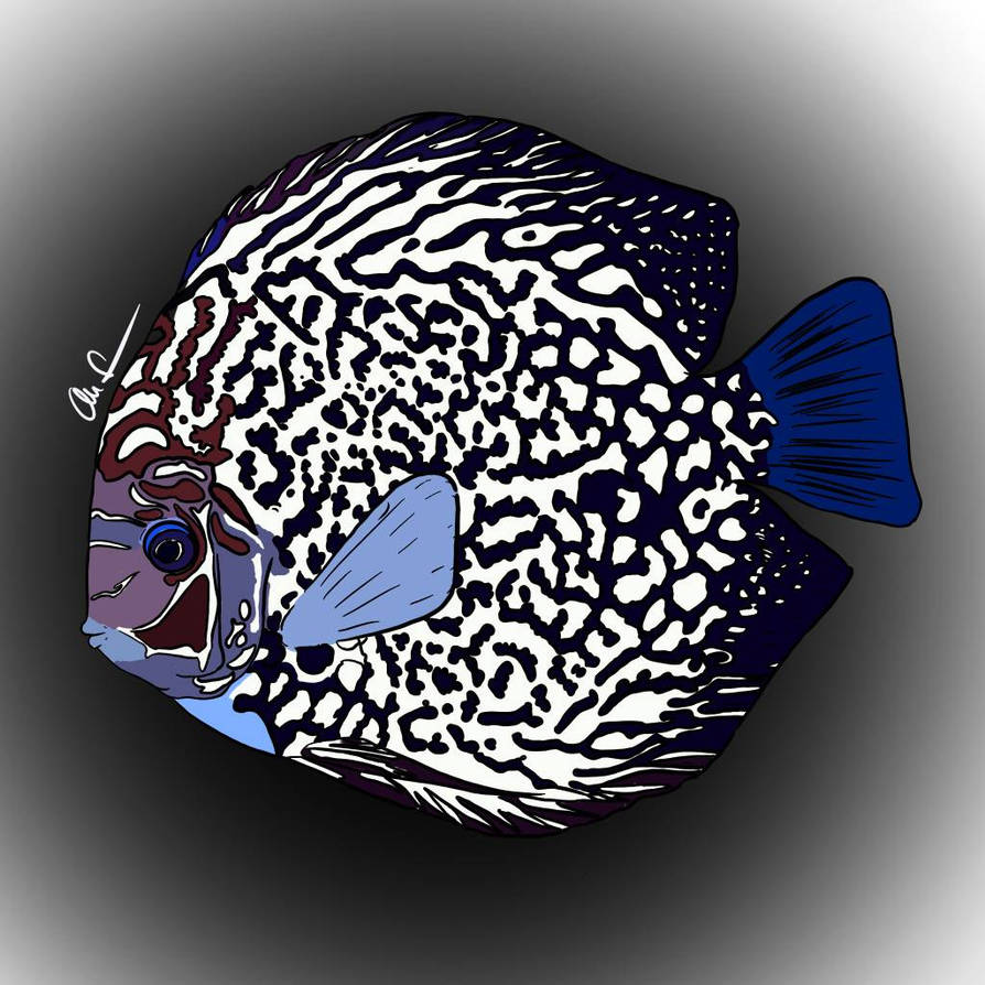 Discus drawing by Renemo3osow on DeviantArt