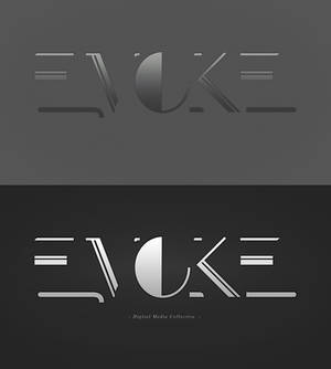 EVK_type