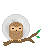 Owl :art trade: