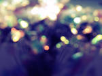 Bokeh Stock Texture. by Sarah--Elizabeth