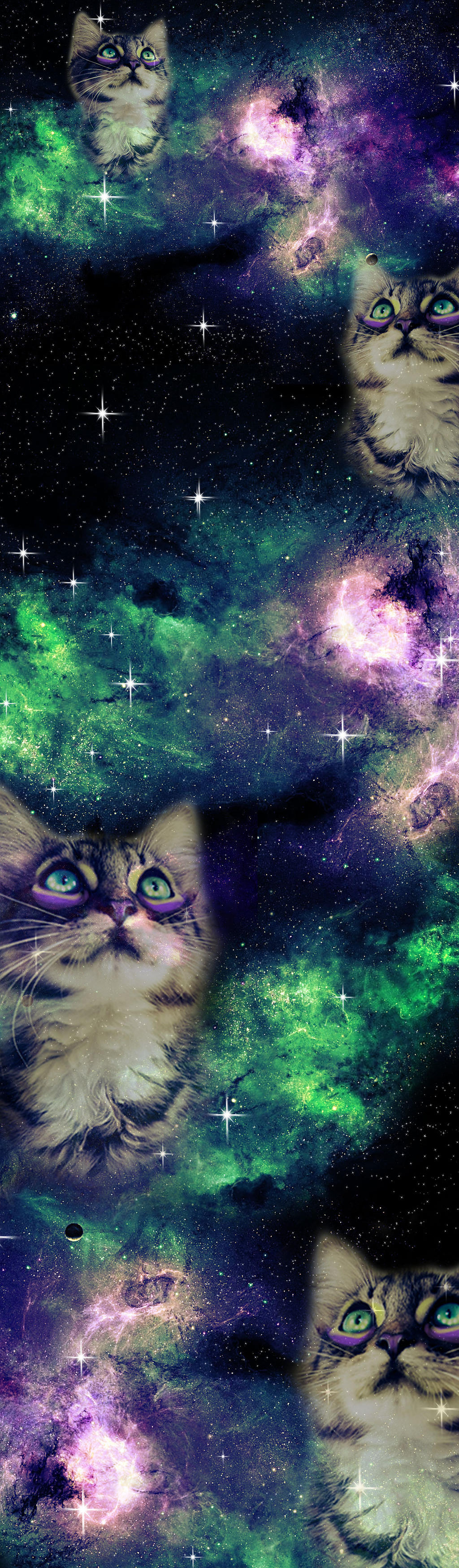 Galaxy Cat Box Background.