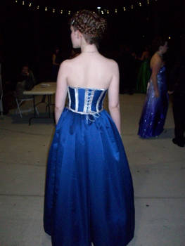 Prom Dress 2011 Back