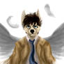 Castiel gay furry angel of the lord