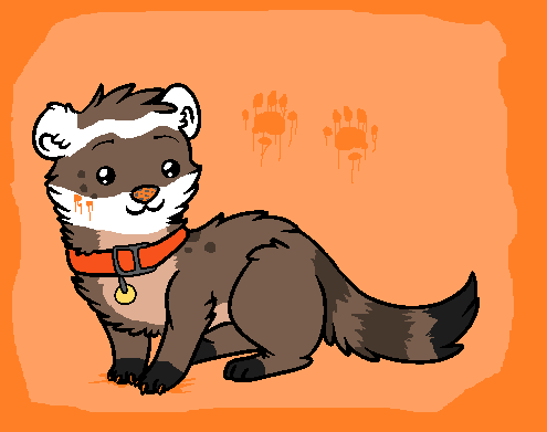 Sharpie the Ferret