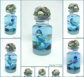 Mermaid in the Bottle