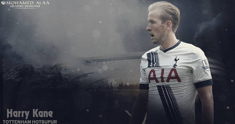 Wallpaper For Harry Kane