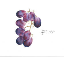 Grapes