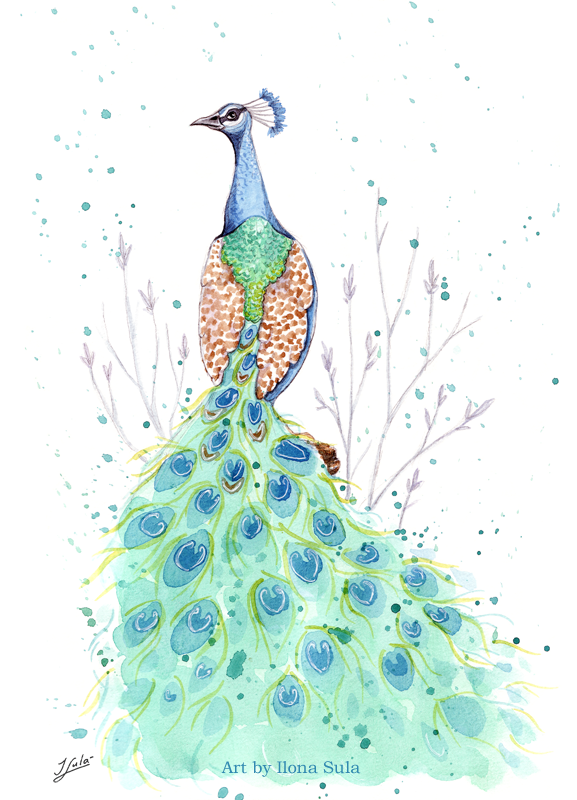 Peacock