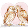 Kissing Owls