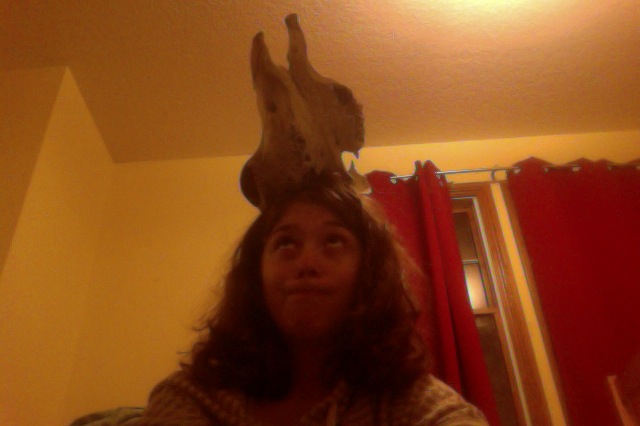 My New Cow Skull Balanced on my Head