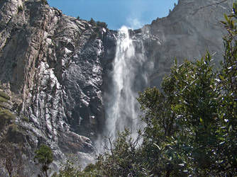 Old man Yosemite