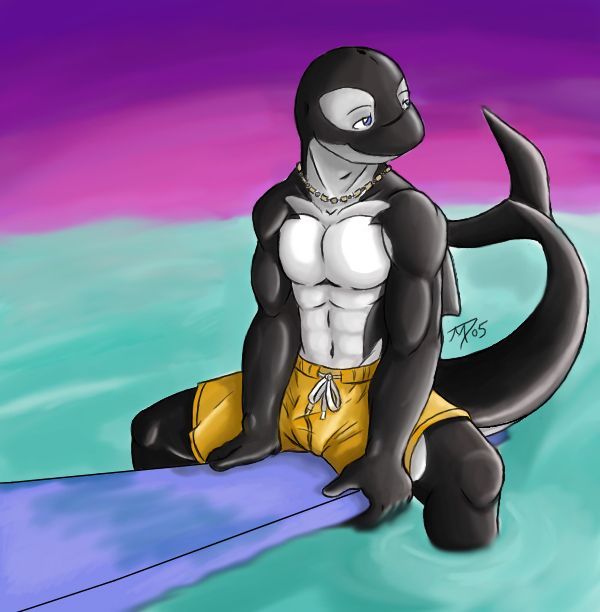 Surfer Orca