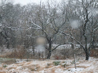 Snow in Texas