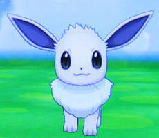 Shiny Eevee