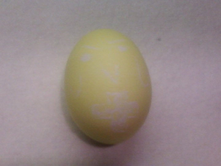 Gilbird egg