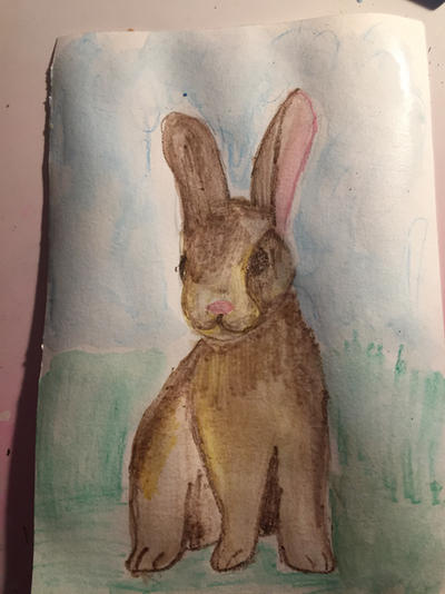 Brown Rabbit Deviantart Brown rabbit by EmmaEArts on DeviantArt
