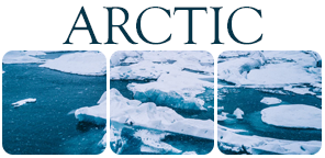 Arctic Equus Ballators