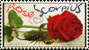 .:HP-Rose n' Scorpius Stamp:.