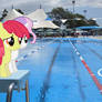 .:REQ:. Fillies at the Pool