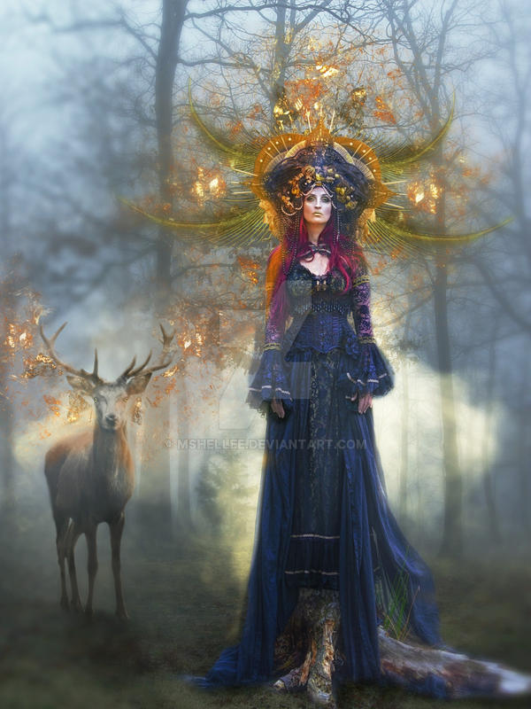 Fog Forest by mshellee Fog Forest by mshellee