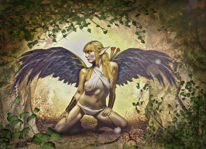 Elf Warrior by mshellee Elf Warrior by mshellee