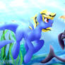 Water Wonders - Sharkify Com